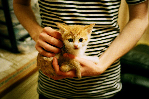 中立B某项目配速曲线趋于均衡，中立b某项目配速曲线趋于均衡的原因